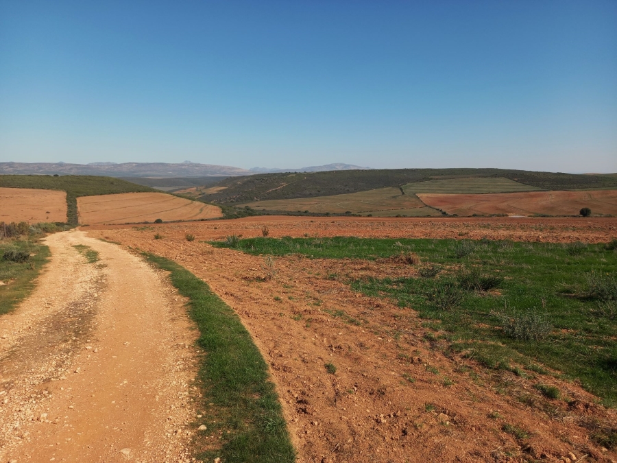 Commercial Property for Sale in George Rural Western Cape